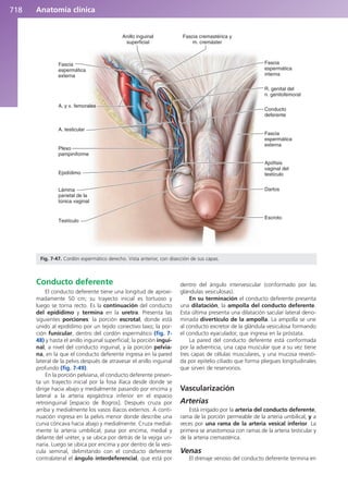 Anatomía Clínica Pró.pdf