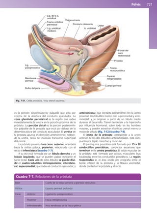 Anatomía Clínica Pró.pdf