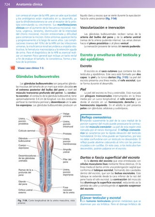 Anatomía Clínica Pró.pdf