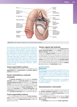 Anatomía Clínica Pró.pdf