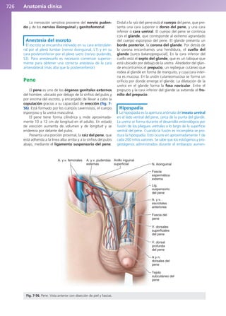 Anatomía Clínica Pró.pdf