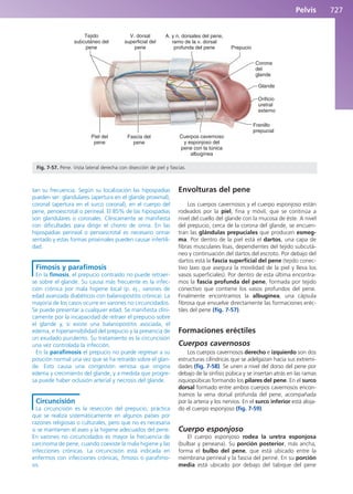 Anatomía Clínica Pró.pdf