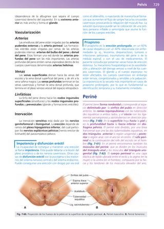 Anatomía Clínica Pró.pdf