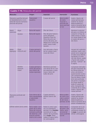 Anatomía Clínica Pró.pdf