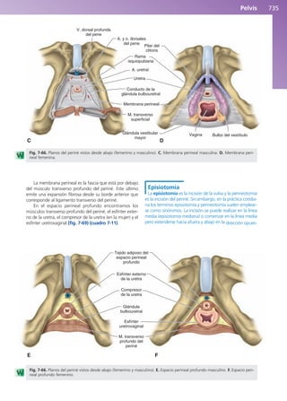 Anatomía Clínica Pró.pdf