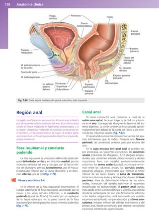 Anatomía Clínica Pró.pdf