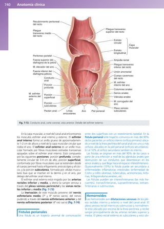 Anatomía Clínica Pró.pdf