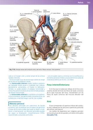 Anatomía Clínica Pró.pdf