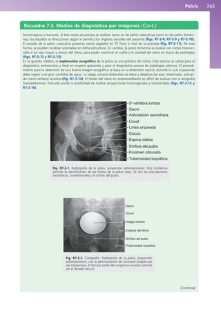 Anatomía Clínica Pró.pdf