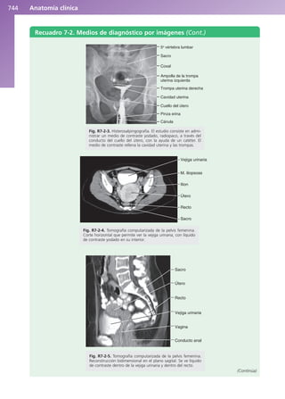 Anatomía Clínica Pró.pdf