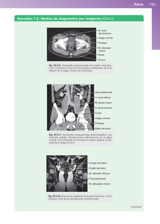 Anatomía Clínica Pró.pdf