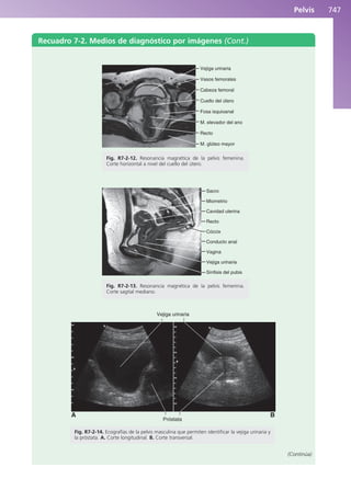 Anatomía Clínica Pró.pdf