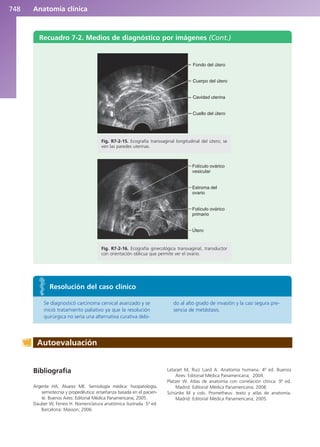 Anatomía Clínica Pró.pdf