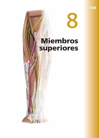 Anatomía Clínica Pró.pdf