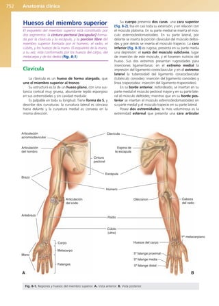 Anatomía Clínica Pró.pdf