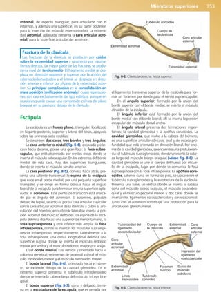 Anatomía Clínica Pró.pdf