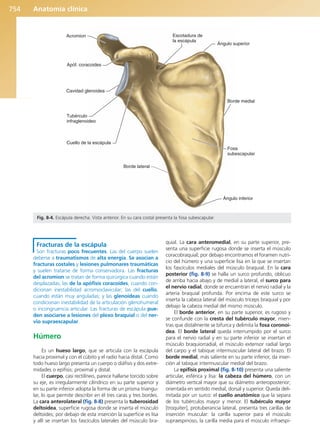 Anatomía Clínica Pró.pdf