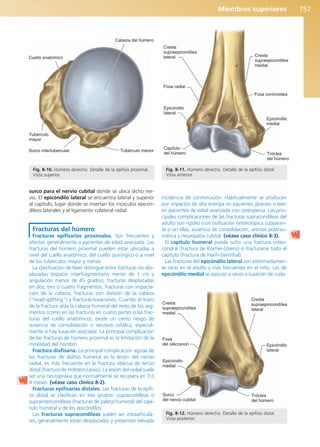 Anatomía Clínica Pró.pdf