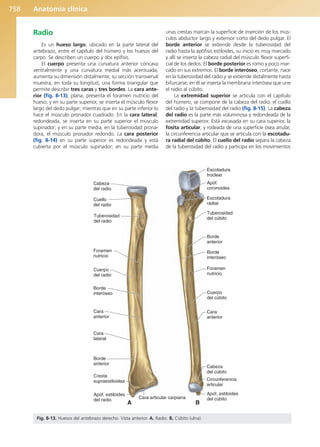 Anatomía Clínica Pró.pdf