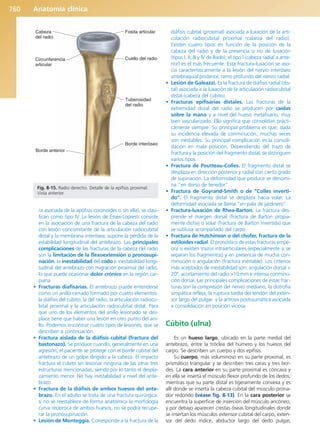 Anatomía Clínica Pró.pdf