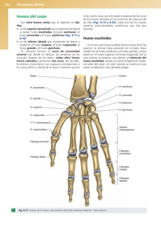 Anatomía Clínica Pró.pdf