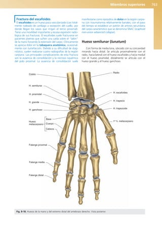 Anatomía Clínica Pró.pdf