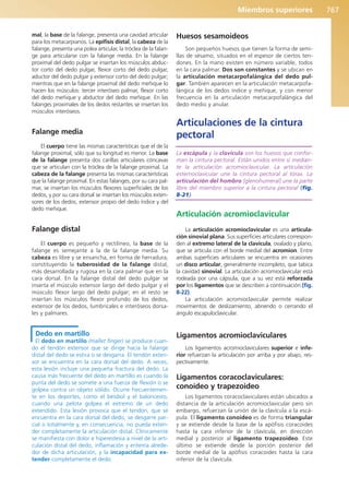 Anatomía Clínica Pró.pdf