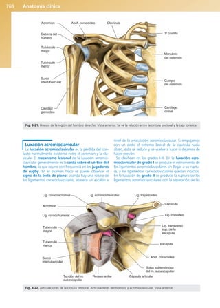 Anatomía Clínica Pró.pdf