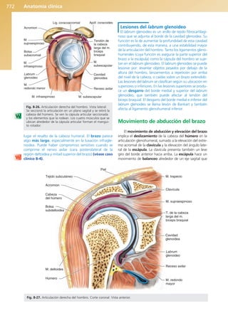 Anatomía Clínica Pró.pdf