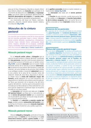 Anatomía Clínica Pró.pdf