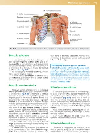 Anatomía Clínica Pró.pdf