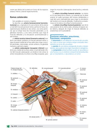 Anatomía Clínica Pró.pdf