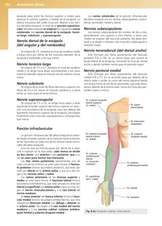 Anatomía Clínica Pró.pdf