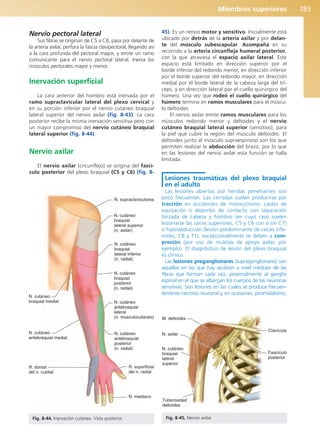 Anatomía Clínica Pró.pdf