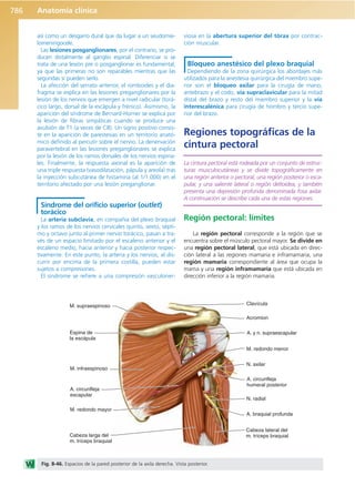 Anatomía Clínica Pró.pdf