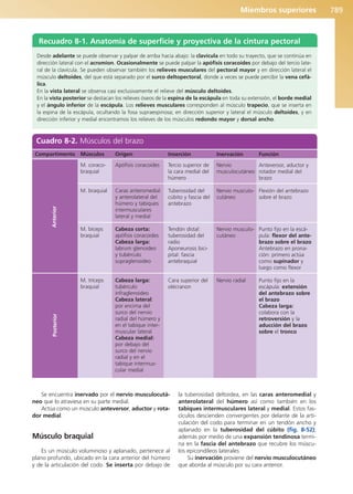 Anatomía Clínica Pró.pdf