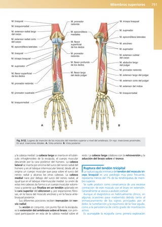 Anatomía Clínica Pró.pdf