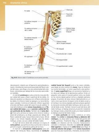Anatomía Clínica Pró.pdf
