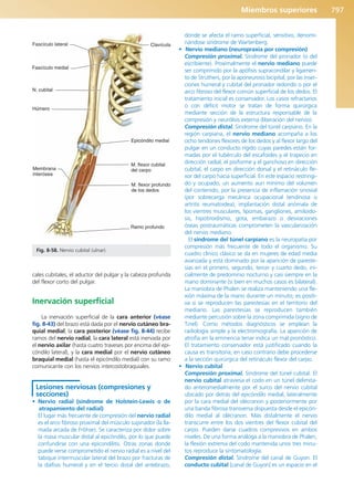 Anatomía Clínica Pró.pdf
