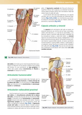 Anatomía Clínica Pró.pdf