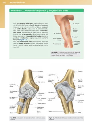 Anatomía Clínica Pró.pdf