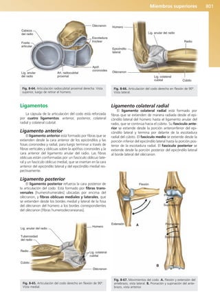 Anatomía Clínica Pró.pdf
