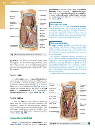 Anatomía Clínica Pró.pdf
