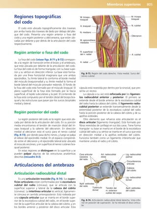 Anatomía Clínica Pró.pdf
