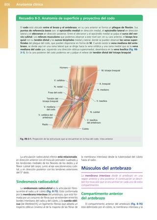 Anatomía Clínica Pró.pdf