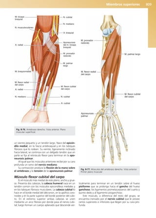 Anatomía Clínica Pró.pdf