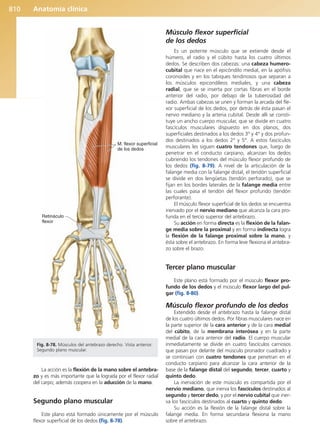 Anatomía Clínica Pró.pdf