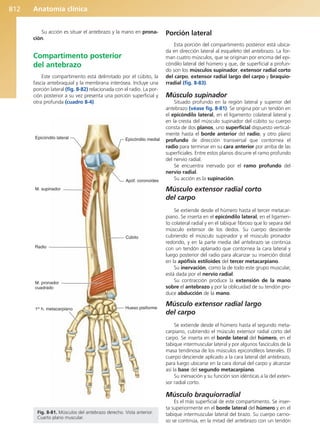 Anatomía Clínica Pró.pdf
