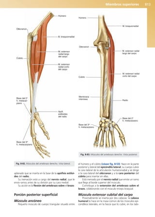 Anatomía Clínica Pró.pdf
