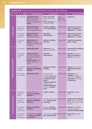 Anatomía Clínica Pró.pdf